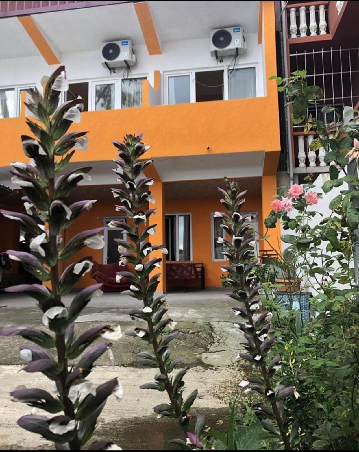 Guest House Orange Kobuleti Dış mekan fotoğraf