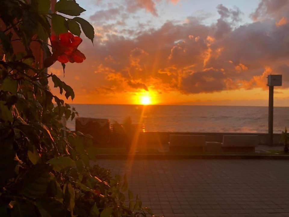 Guest House Orange Kobuleti Dış mekan fotoğraf